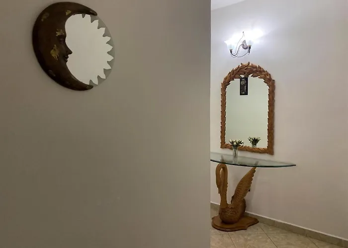 The White Corner דורס