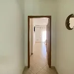 The White Corner *